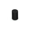 Sonos Era 100